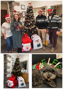 Christmas jumper day image
